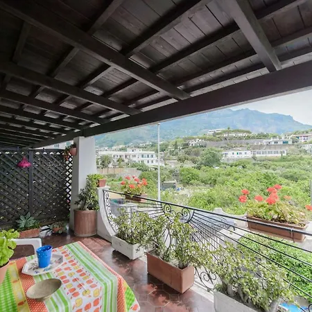 Casetta 아파트 Forio di Ischia